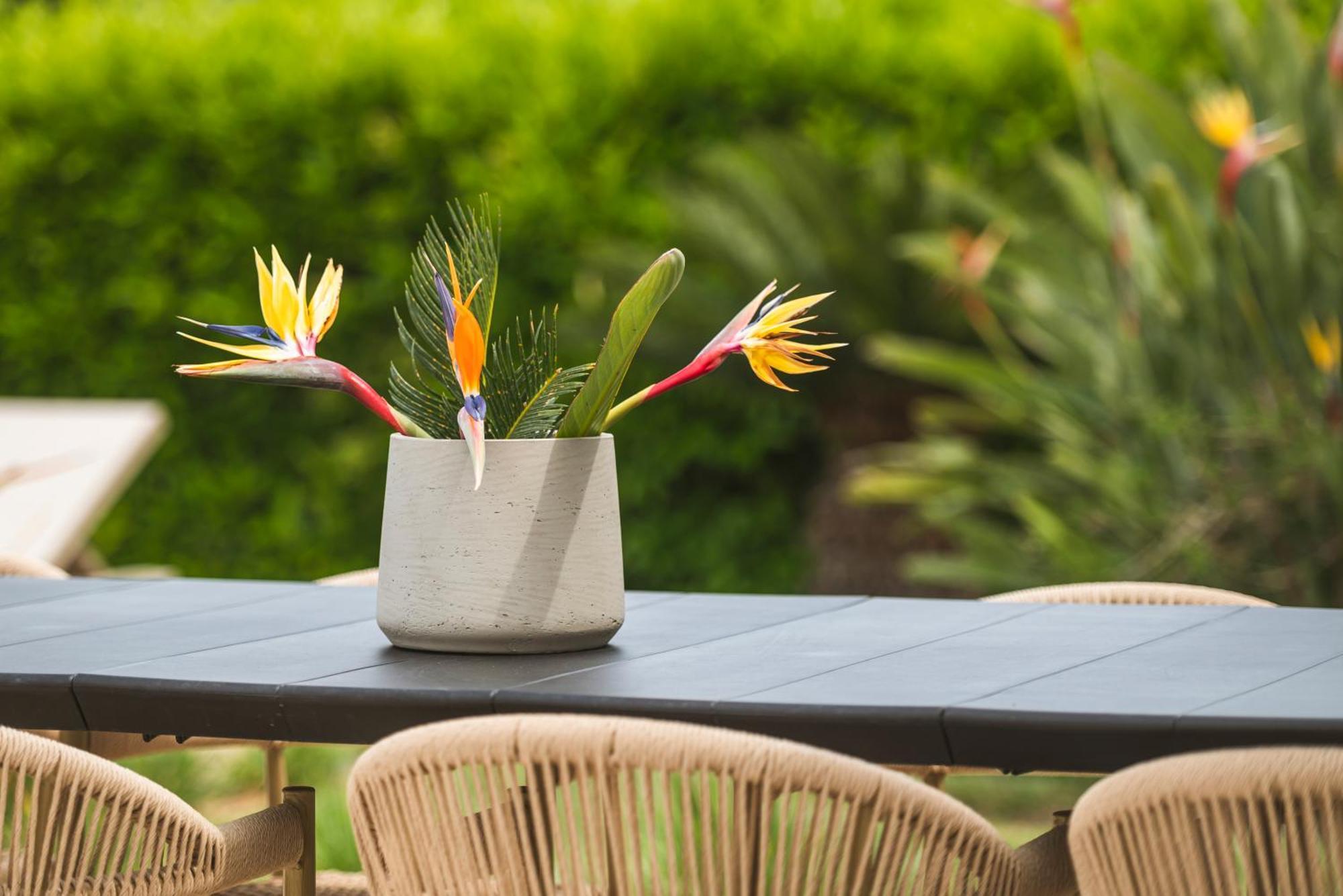Phillyrea Luxury Villas Kos Town Ngoại thất bức ảnh